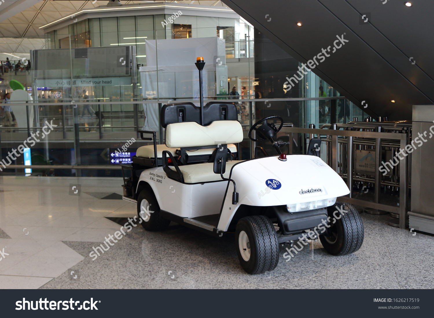 Electric Buggy Service